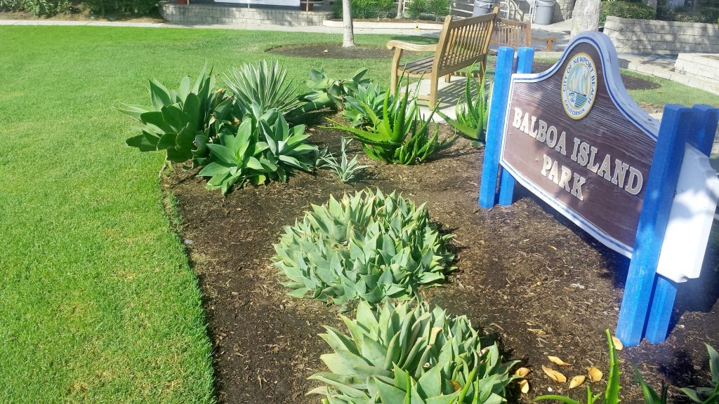 Balboa Island Park Balboa Island Park